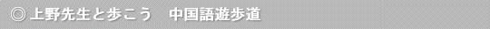 ���搶�ƕ������@������V����